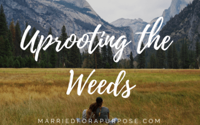 HOW TO UPROOT THE WEEDS IN LIFE